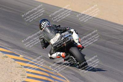 media/Nov-12-2023-SoCal Trackdays (Sun) [[5d1fba4e7d]]/Turn 10 Backside (115pm)/